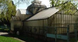 Urząd miasta unieważnił przetarg na remont legnickiej palmiarni