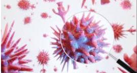Jak wygląda aktualna sytuacja epidemiologiczna w Legnicy i powiecie?
