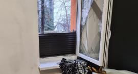 Nocne włamanie do studia Tatuażu i Piercingu KleinDevil w Legnicy