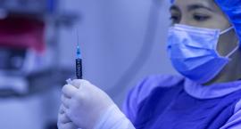 Zaraza zbiera śmiertelne żniwna. Zmarło czterech legniczan z COVID-19 