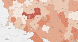 Powiat legnicki z najwyższą średnią zakażeń w całym województwie dolnośląskim!