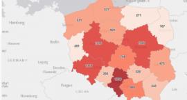 Legnica i powiat legnicki w czerwonych barwach na koronawirusowej mapie
