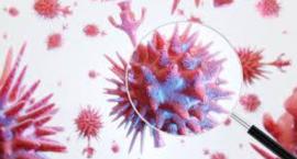 Sytuacja epidemiczna w Legnicy oraz powiecie legnickim - 73 zakażenia koronawirusem