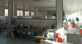 Znacznie spadła liczba pacjentów z Covid-19. W końcu są wolne respiratory!
