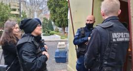 Awantura w palmiarni. Ekolodzy wpadli na kontrolę, interweniowała policja [ZDJĘCIA]