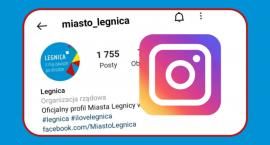 Urząd miasta cenzuruje Instagrama. Legnicka palmiarnia zniknęła z Google