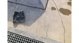 Nowa fontanna w legnickim parku już do naprawy? Pękają płyty [ZDJĘCIA]