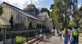 Nieprędko wróci życie do palmiarni