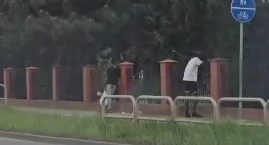 Psychoza strachu w Legnicy. Patrol Obywatelski skrzykuje się na akcję