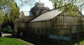 Miasto chce ruszyć z remontem zabytkowej palmiarni w parku