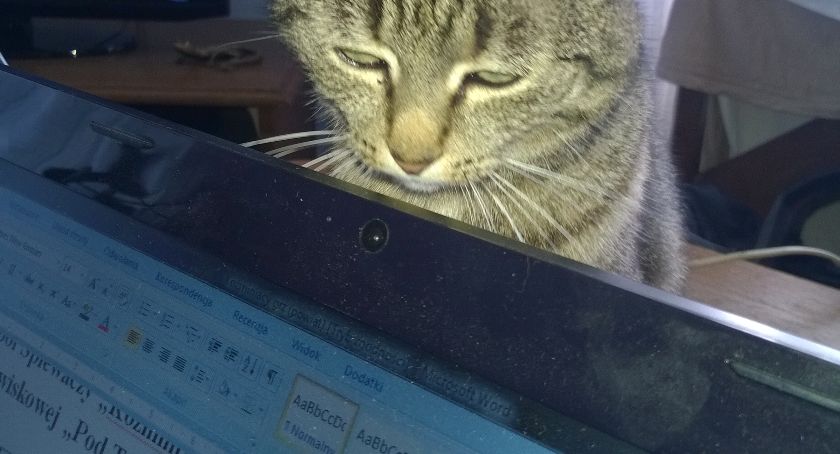Laptopy dla uczniów 