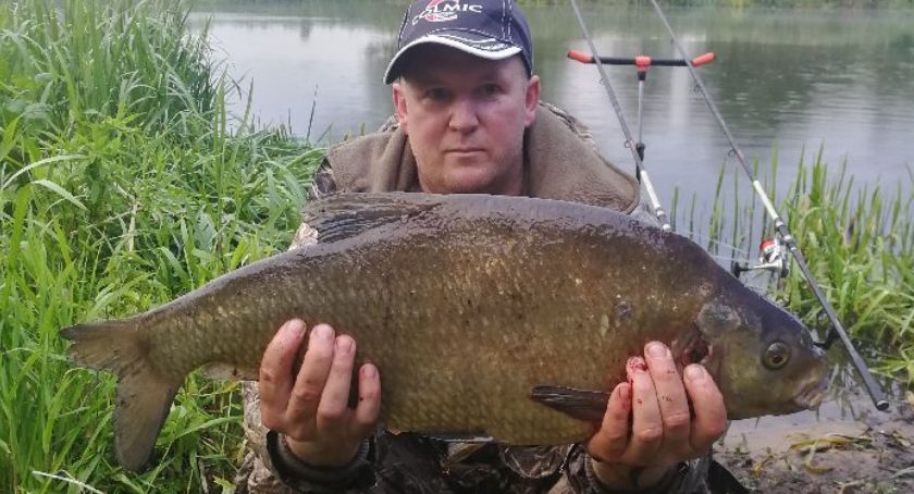 Gigantyczne leszcze żyją w Prośnie