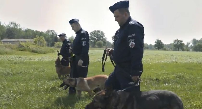 Na czy polega służba psa w policji. Jakie rasy są szczególnie dedykowane do służby? VIDEO