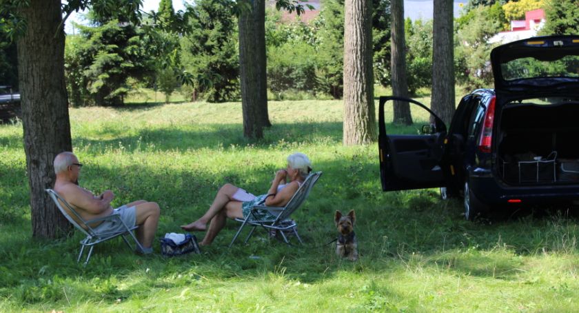 Dzika plaża w Piwonicach atrakcyjniejsza od miejskiej?