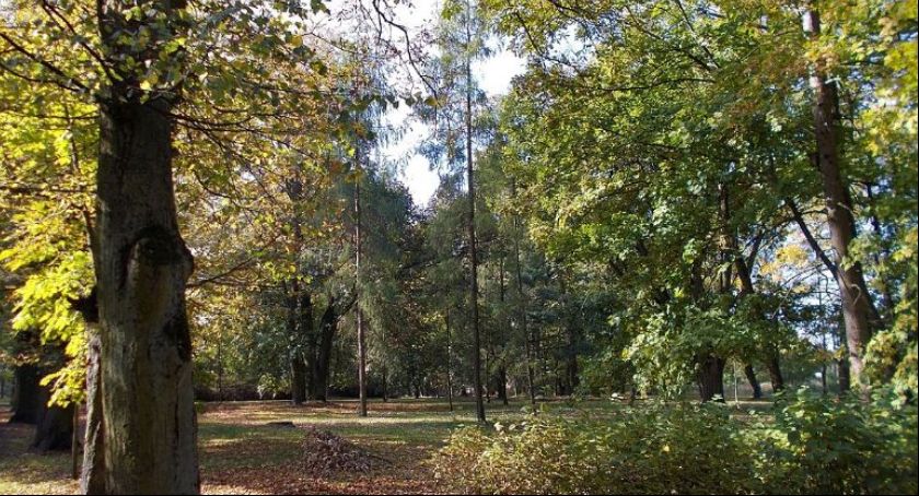 Park w Szczypiornie to nie parking! Mieszkańcy zwrócili się do Miasta o interwencję 