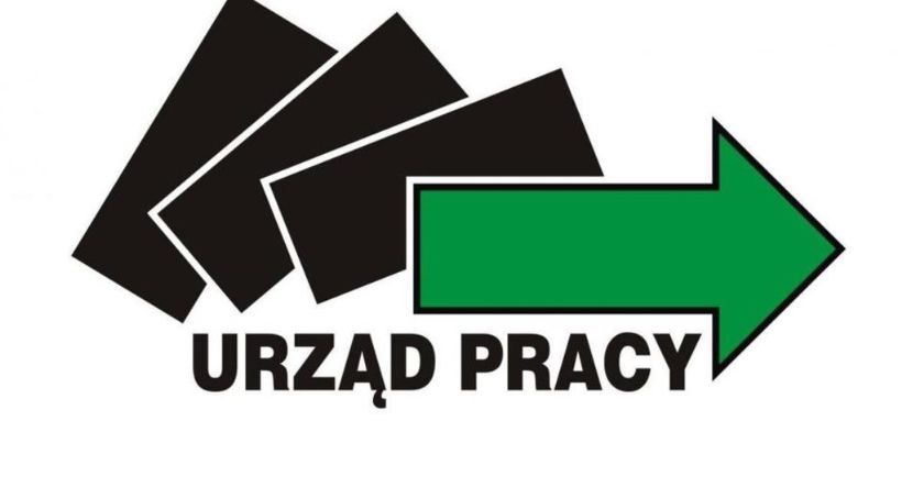 Najnowsze oferty pracy w PUP Kalisz