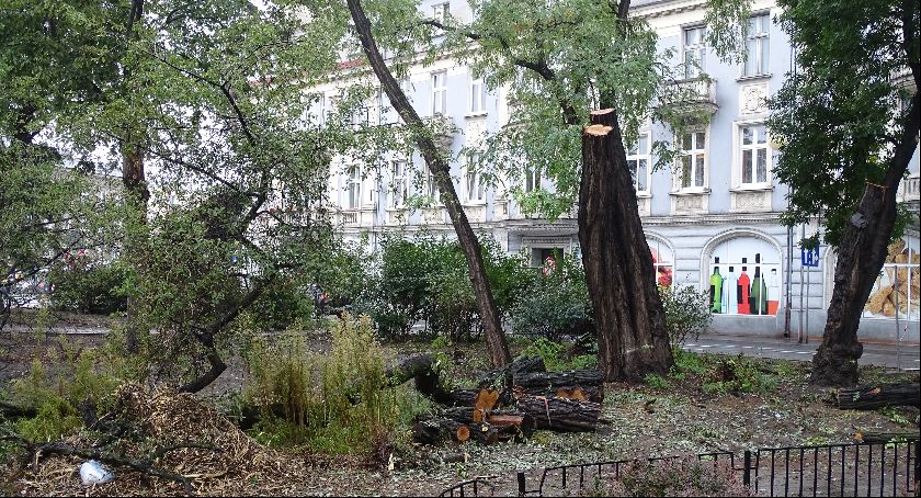Planty Miejskie rewaloryzacja czy dewastacja?