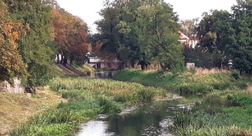 Prosna nasza kochana