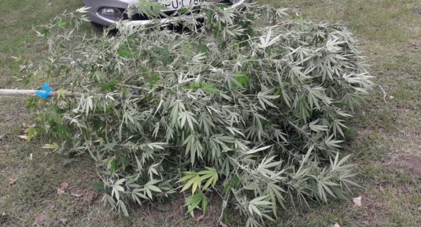 Marihuana, amfetamina i nielegalna amunicja. Tak się bawią w Opatówku.
