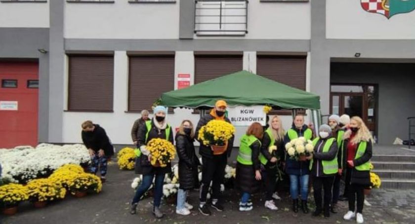 W Blizanowie i Koźminku rozdano tysiące chryzantem