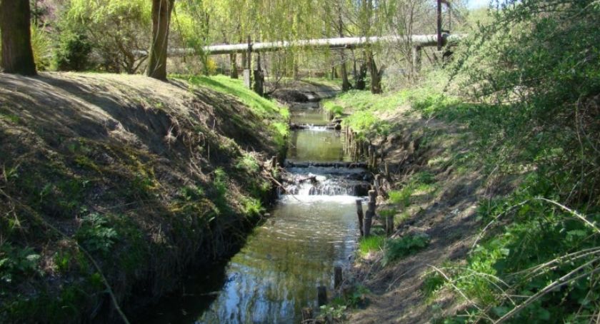 Regulacja Krępicy i Piwonii nadal aktualna, ale nastąpi nieprędko