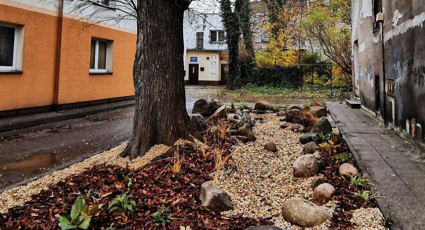 W Kaliszu powstaje pierwszy ogród deszczowy