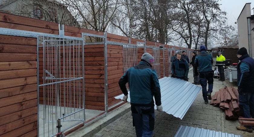 Nowe boksy w schronisku dla zwierząt