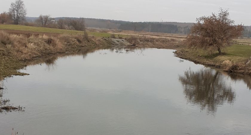 Ostatnie płocie w tym roku