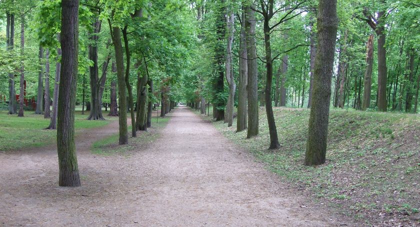 Władze Kalisza chcą ryć park i zrywać kostkę brukową