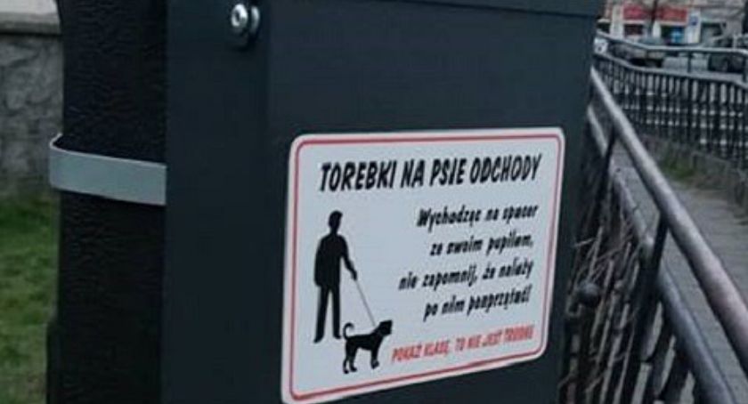 Kaliszanie nie umieją korzystać z torebek na psie kupy