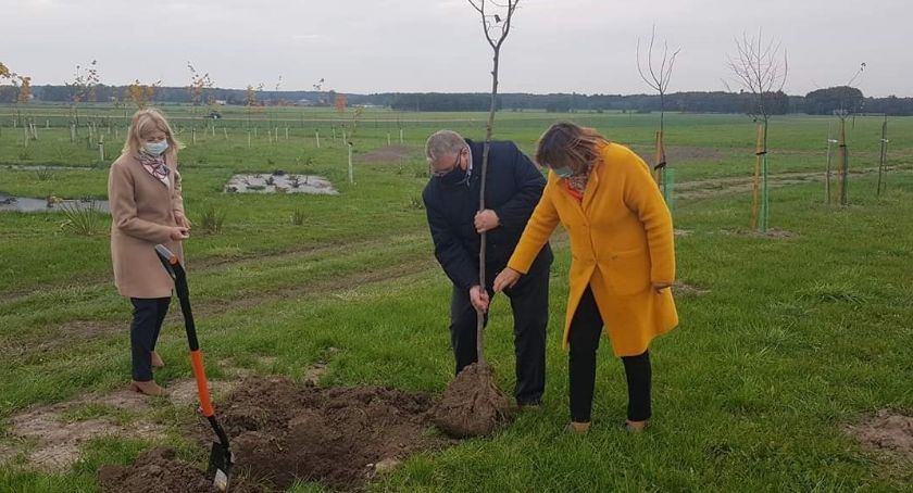 Sadzimy drzewa miododajne – pszczoły zadowolone