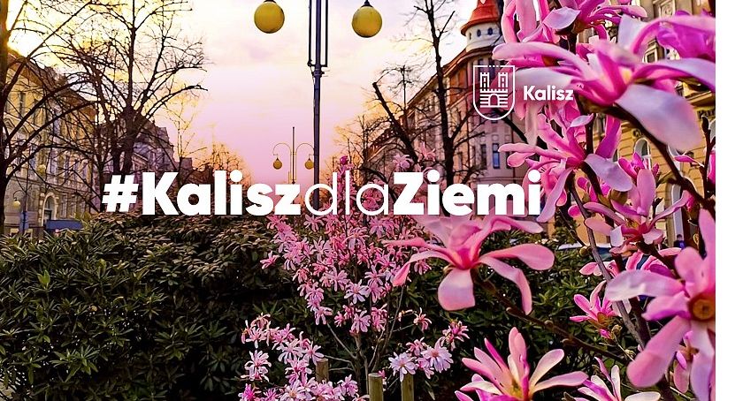 Miasto rozpoczyna akcję #KaliszdlaZiemi