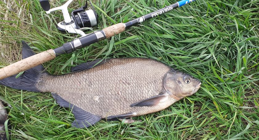 Na ryby! Feeder kontra spławik