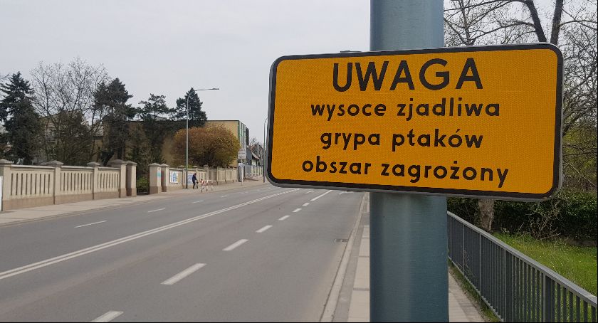 Ptasia grypa - tragiczna sytuacja w naszym powiecie 