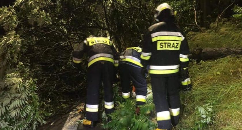 Pożary, powalone drzewa i woda w piwnicach. Krajobraz po burzy.