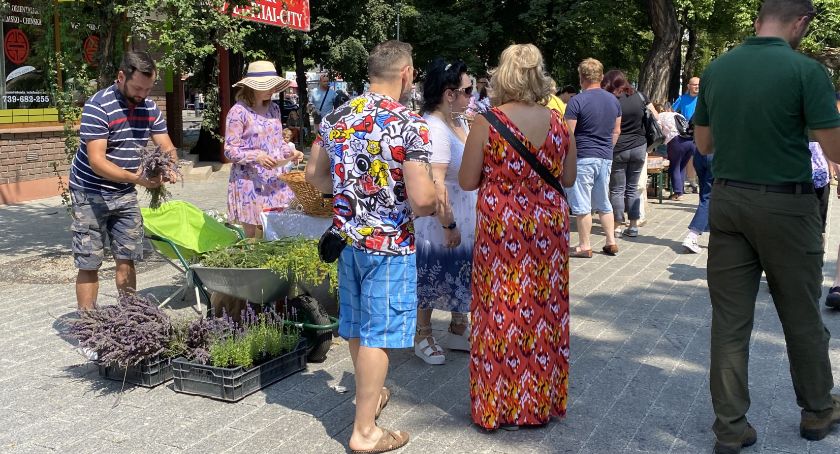 Wystawa kwiatowa na kaliskich plantach