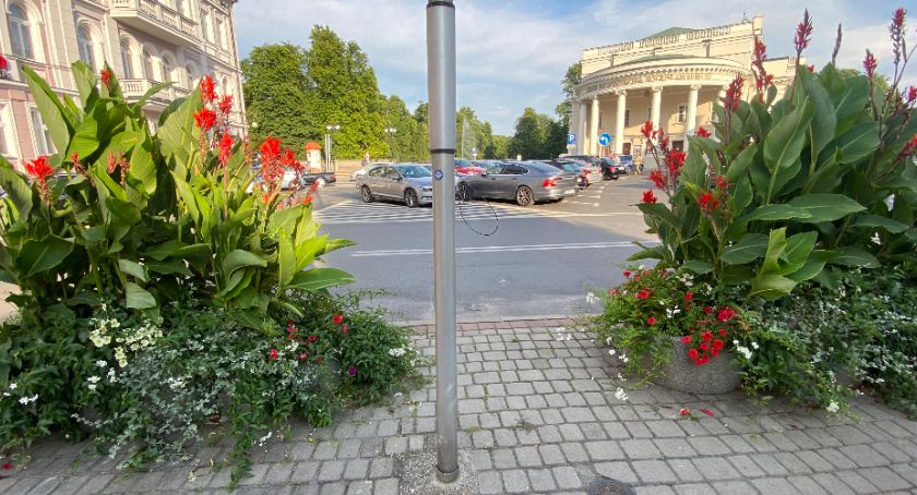 Kaliskie kwiaty, zieleń  i... kolorowe rowery