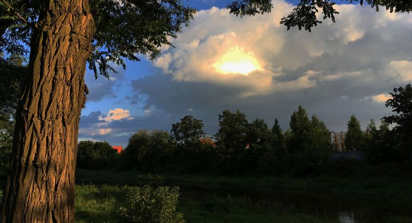 „Nasza Prosna tak radosna płynie jak Sekwana w dal”