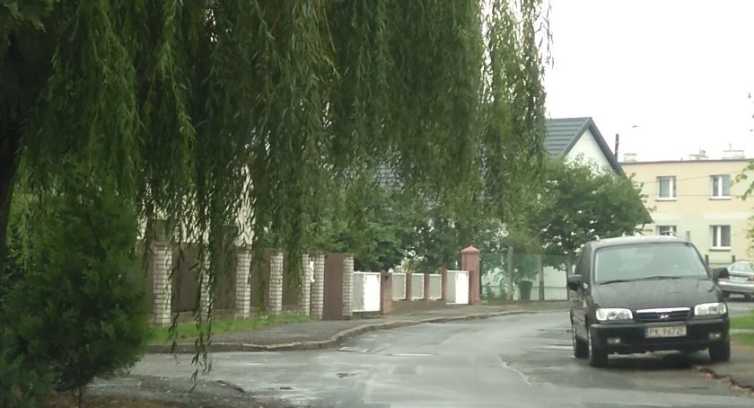 Wierzba zmorą kierowców na ulicy Karłowicza