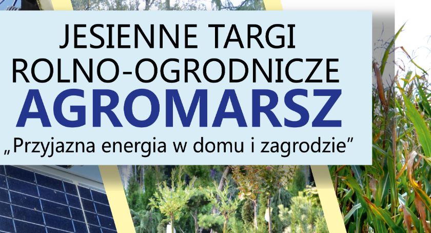 Targi w Marszewie już w niedzielę