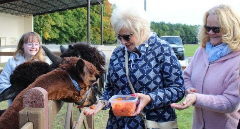 KWIATY I ALPAKI - czyli podsumowanie konkursu plastycznego
