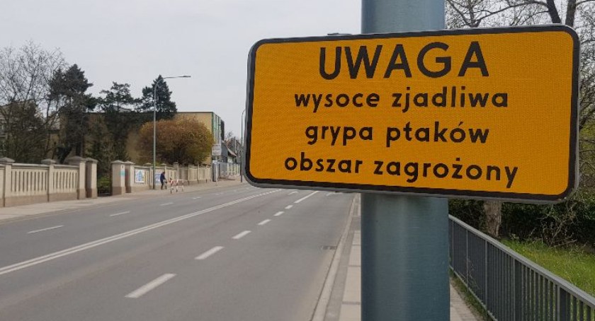 W gminie Lisków zagazowano 5500 szt. kaczek