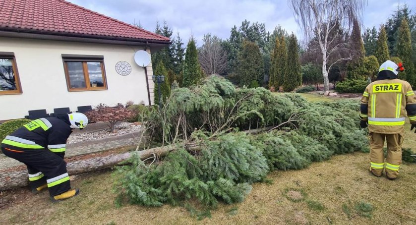 Raport: Orkan Eunice w Wielkopolsce