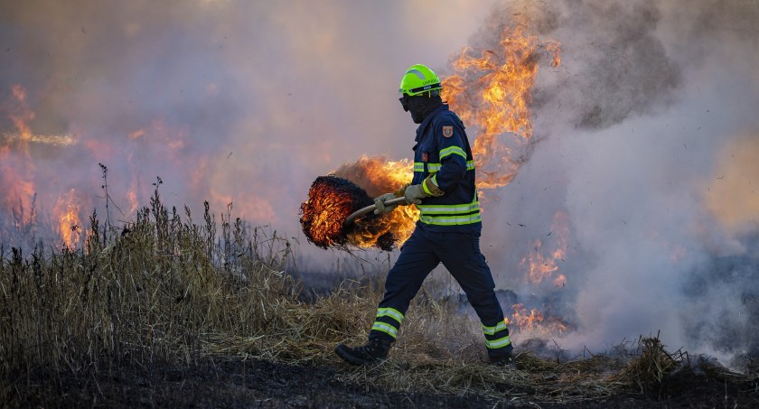Wypalanie traw jest karalne. Sprawca podlega karze pozbawienia wolności nawet do 10 lat.