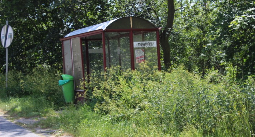 W powiecie nie brakuje „zielonych” przystanków 