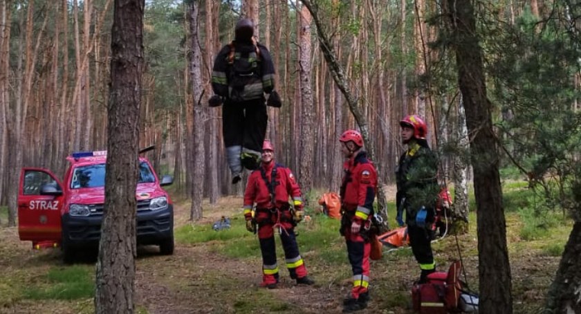 Człowiek zawisł na drzewie wysoko nad ziemią. Tak doskonalili się kaliscy strażacy 
