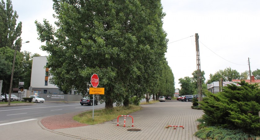 Co z wycinką topoli przy Częstochowskiej?
