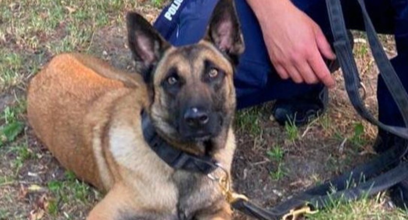 Nowa funkcjonariuszka w szeregach kaliskiej policji