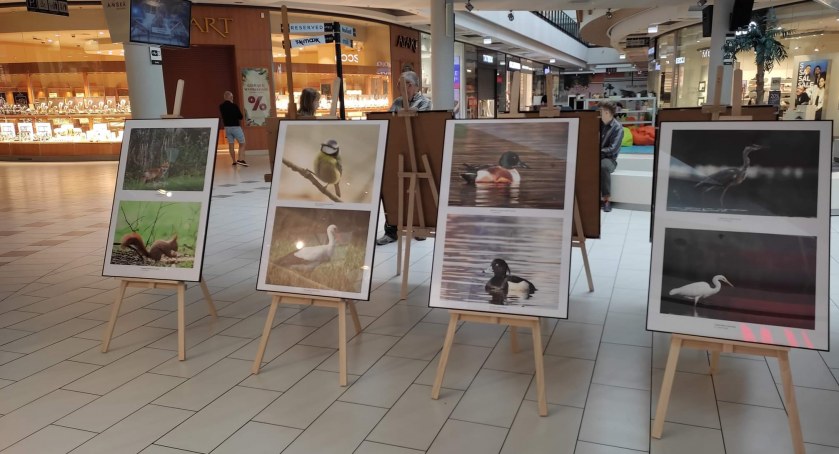 Piękno kaliskiej przyrody w Galerii Amber