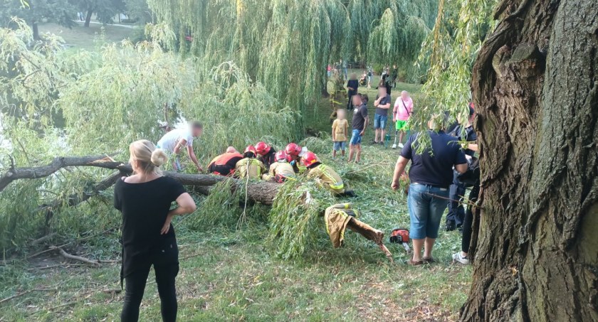 Dramatyczny wypadek w Parku Przyjaźni. Olbrzymi konar drzewa runął na trzy nastolatki